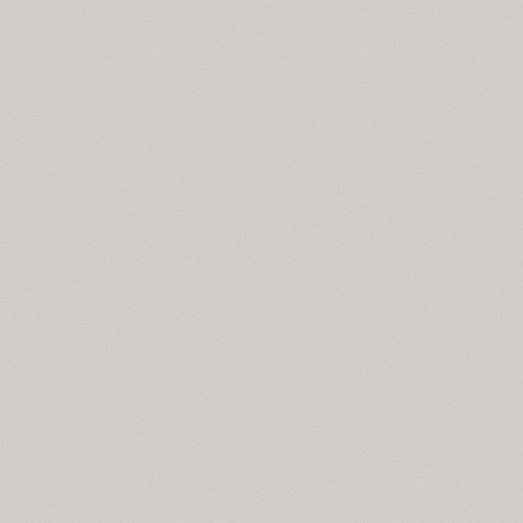 Plank Op Maat Lichtgrijs 16 Mm U708 ST2 RAL 7047 plank-op-maat-lichtgrijs-16-mm-u708-st2-ral-7047