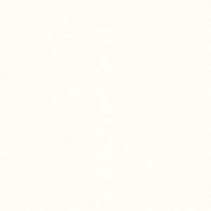 18 mm witte plank op maat(w1000 st9 | Ral9003)