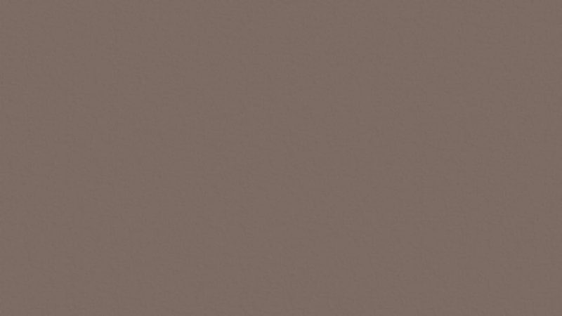 Plank op maat Taupe (27166 BS) – Elswout Projectlijn